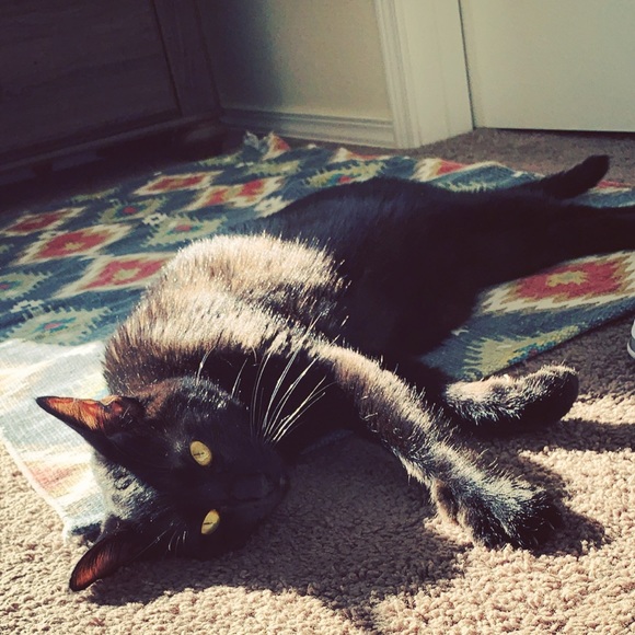 Welcome to my closet // - Picture 4 of 8